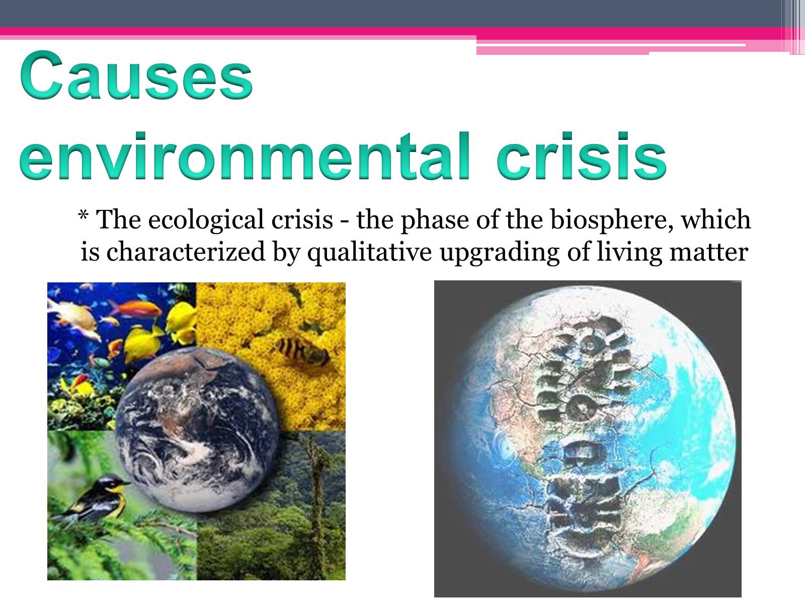 Презентація на тему «Environmental problems» (варіант 2) - Слайд #9