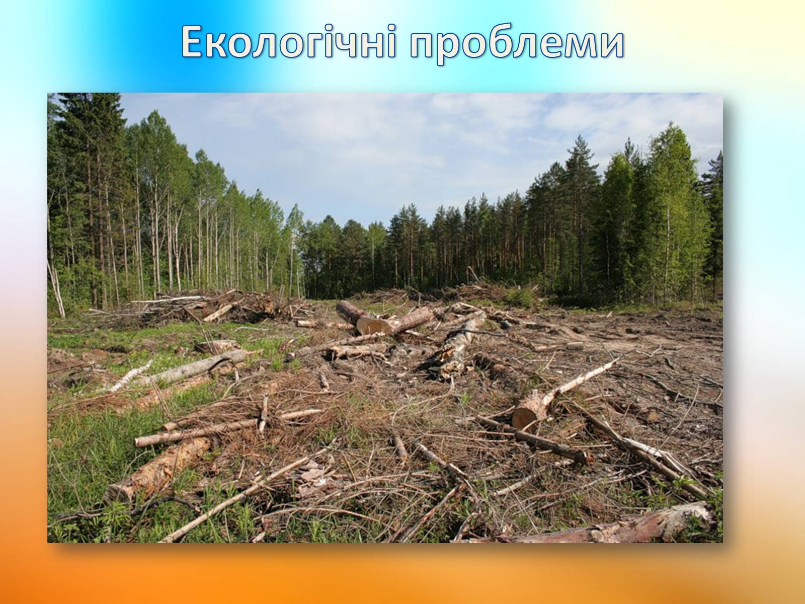 Презентація на тему «Екологічні і техногенні проблеми в перетворювальній діяльності людини» - Слайд #4