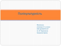 Презентація на тему «Полікультурність» (варіант 1)