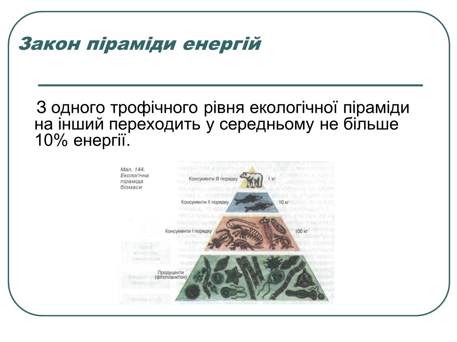 Презентація на тему «Основні екологічні закони» - Слайд #18