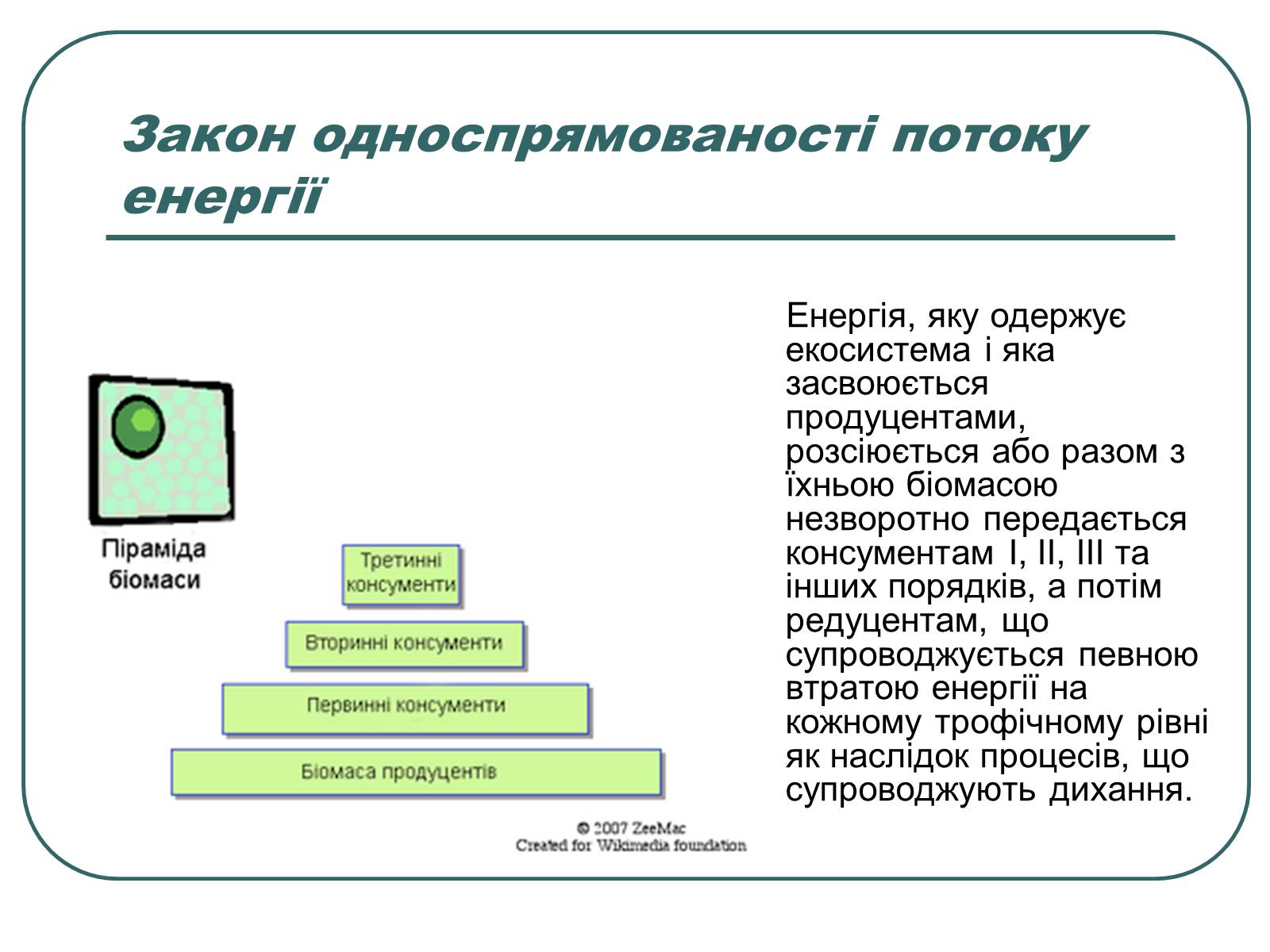 Презентація на тему «Основні екологічні закони» - Слайд #19