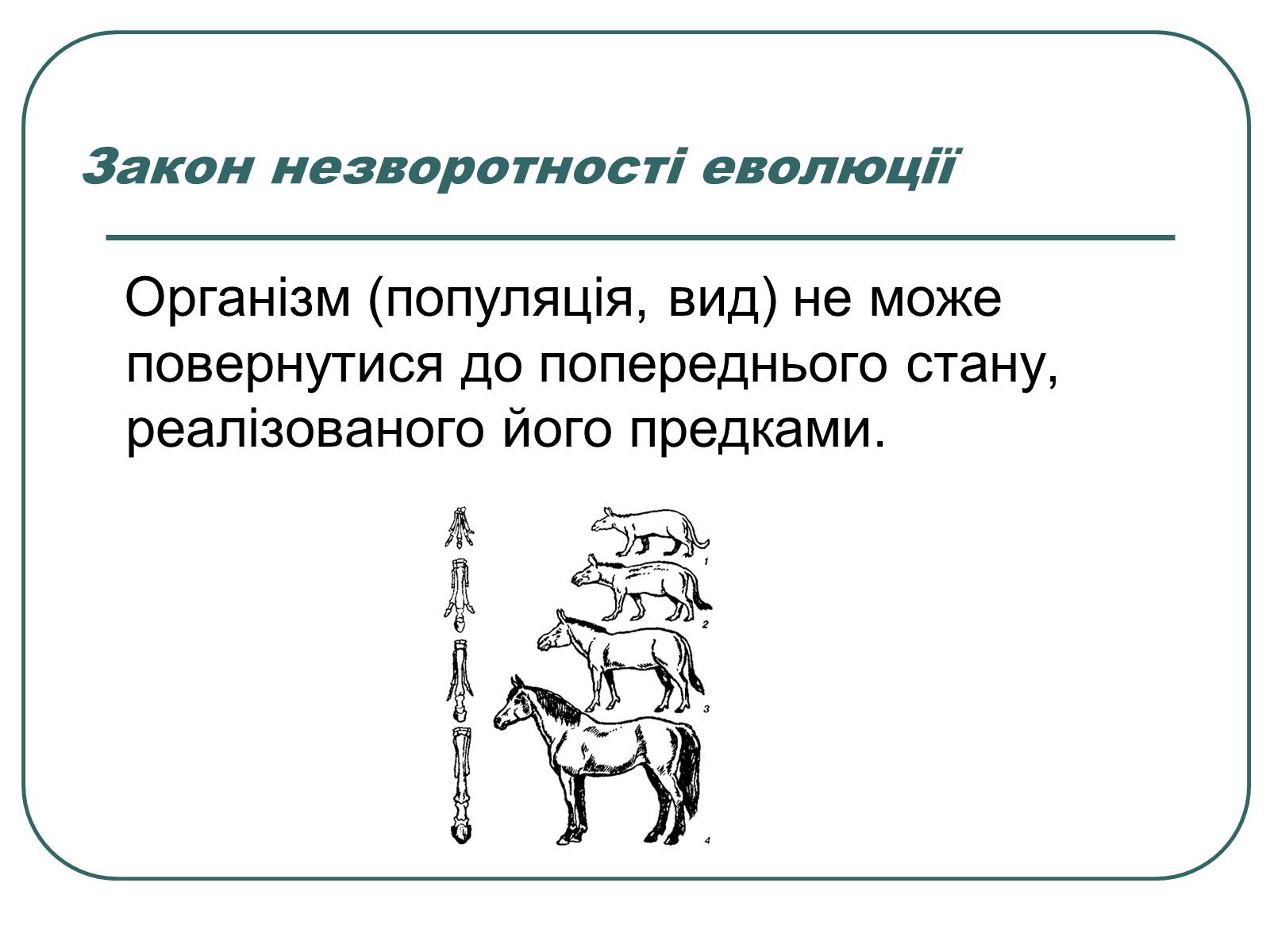 Презентація на тему «Основні екологічні закони» - Слайд #28