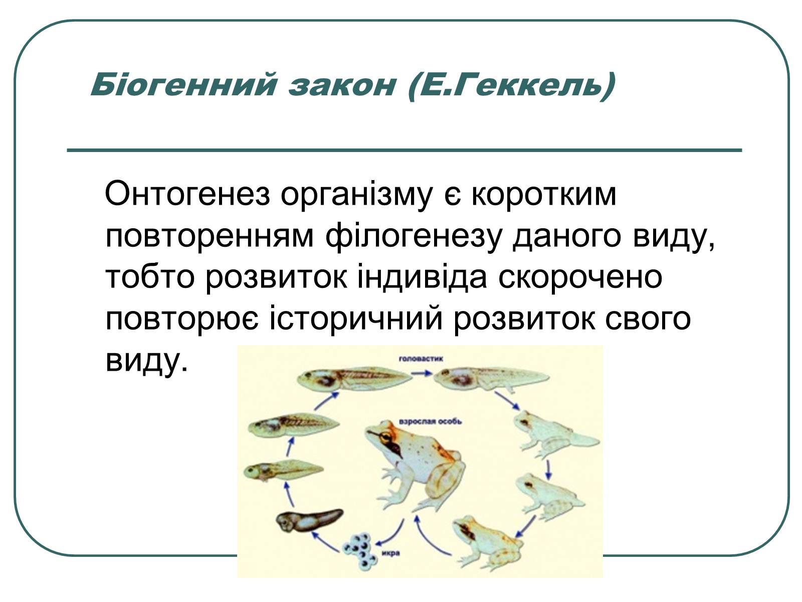 Презентація на тему «Основні екологічні закони» - Слайд #30