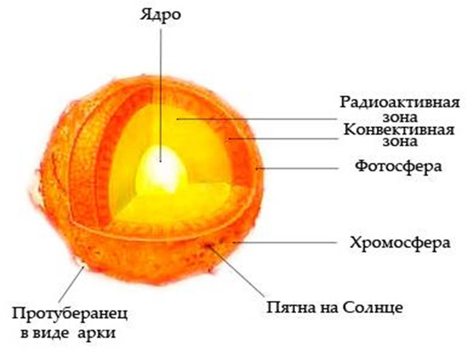 Презентація на тему «Будова Сонця» - Слайд #7