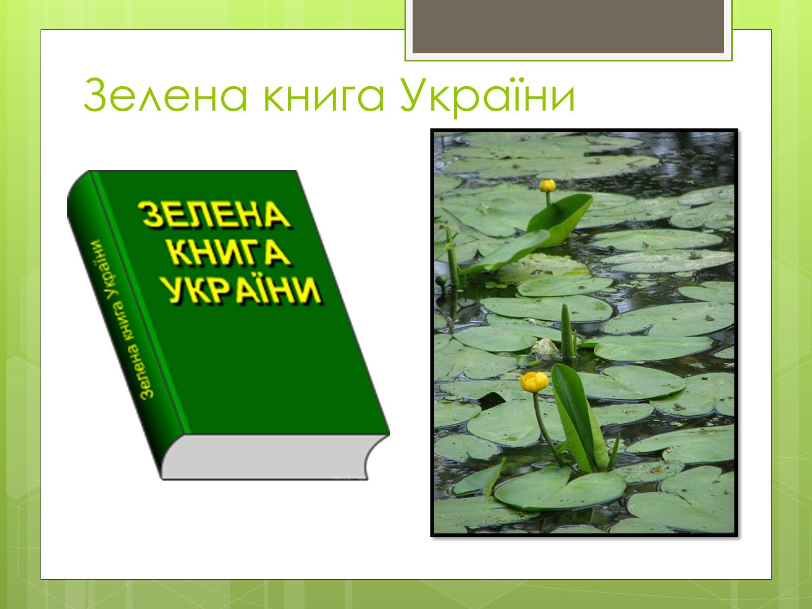 Открой зеленую книгу. Зелена книга України. Зелёная книга. Зеленая книга России. Зеленая книга книга.