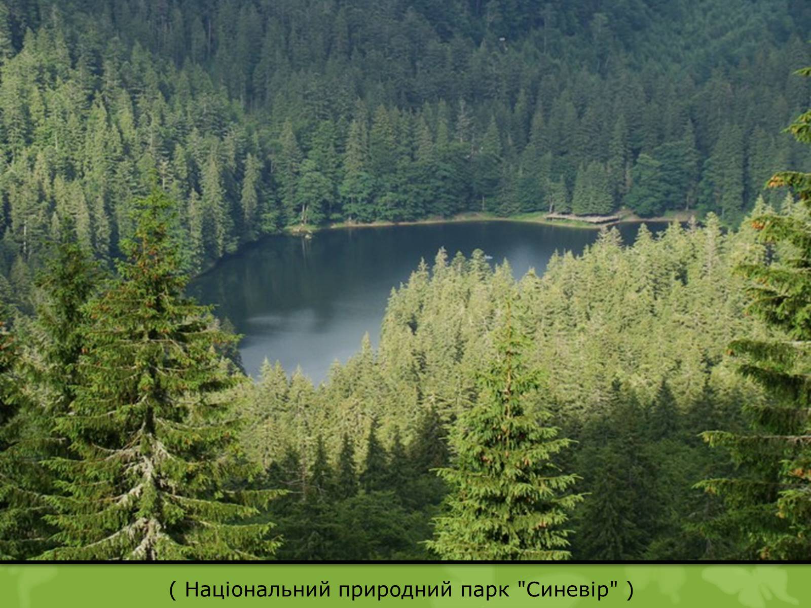 Презентація на тему «Природоохоронне законодавство України» (варіант 1) - Слайд #17 Презентація на тему «Природоохоронне законодавство України» (варіант 1) - Слайд #17