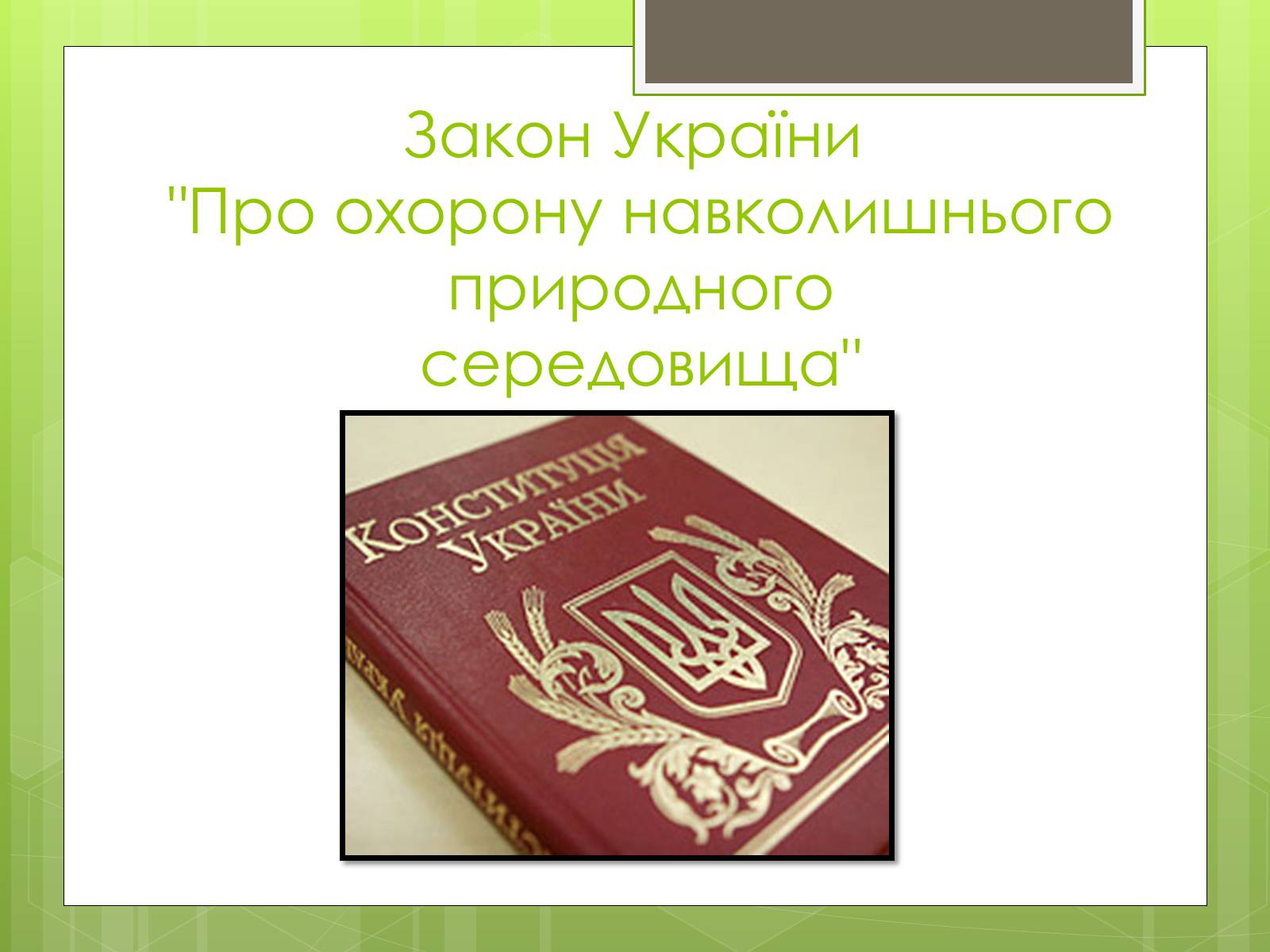 Презентація на тему «Природоохоронне законодавство України» (варіант 1) - Слайд #3 Презентація на тему «Природоохоронне законодавство України» (варіант 1) - Слайд #3