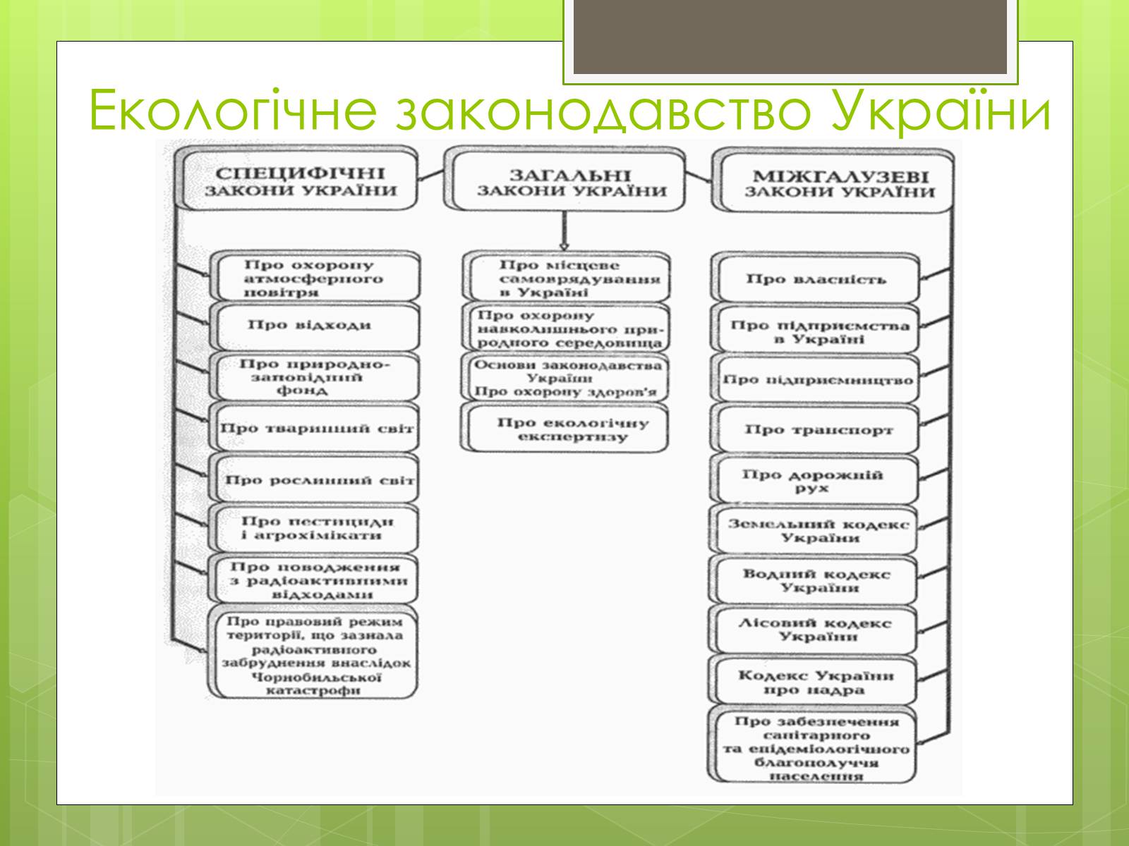 Презентація на тему «Природоохоронне законодавство України» (варіант 1) - Слайд #7 Презентація на тему «Природоохоронне законодавство України» (варіант 1) - Слайд #7