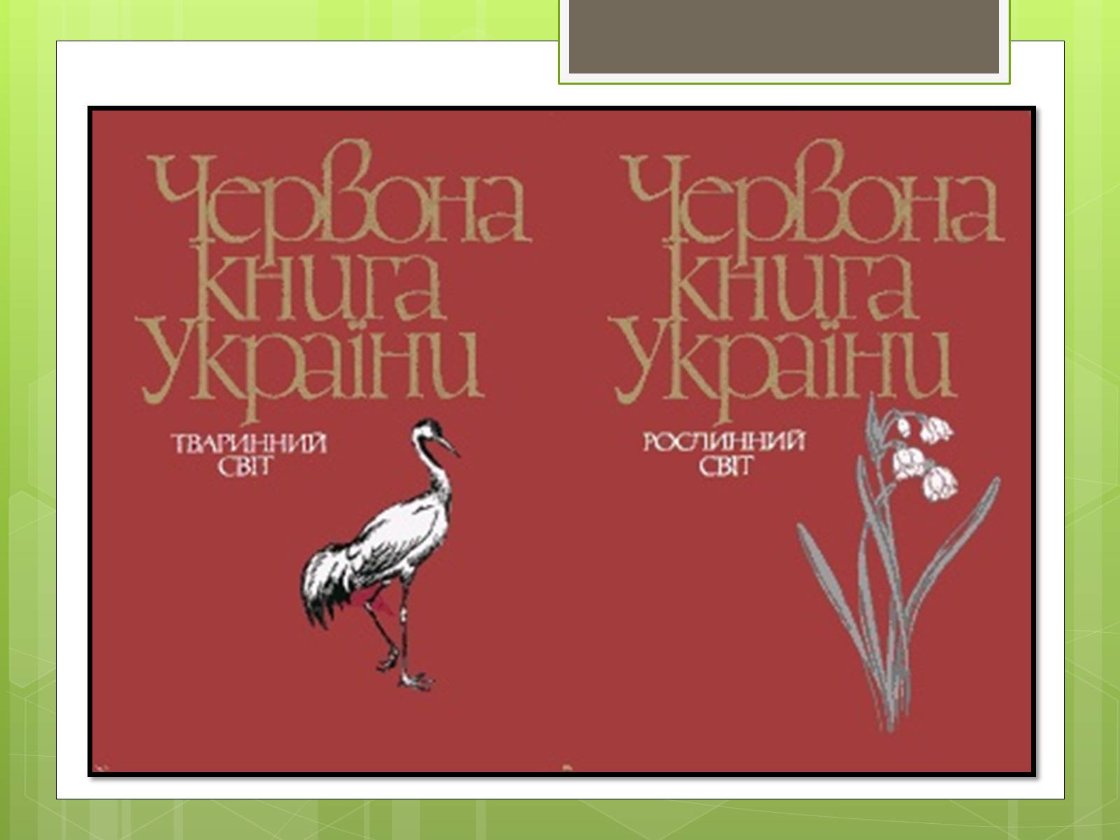 Презентація на тему «Природоохоронне законодавство України» (варіант 1) - Слайд #9 Презентація на тему «Природоохоронне законодавство України» (варіант 1) - Слайд #9