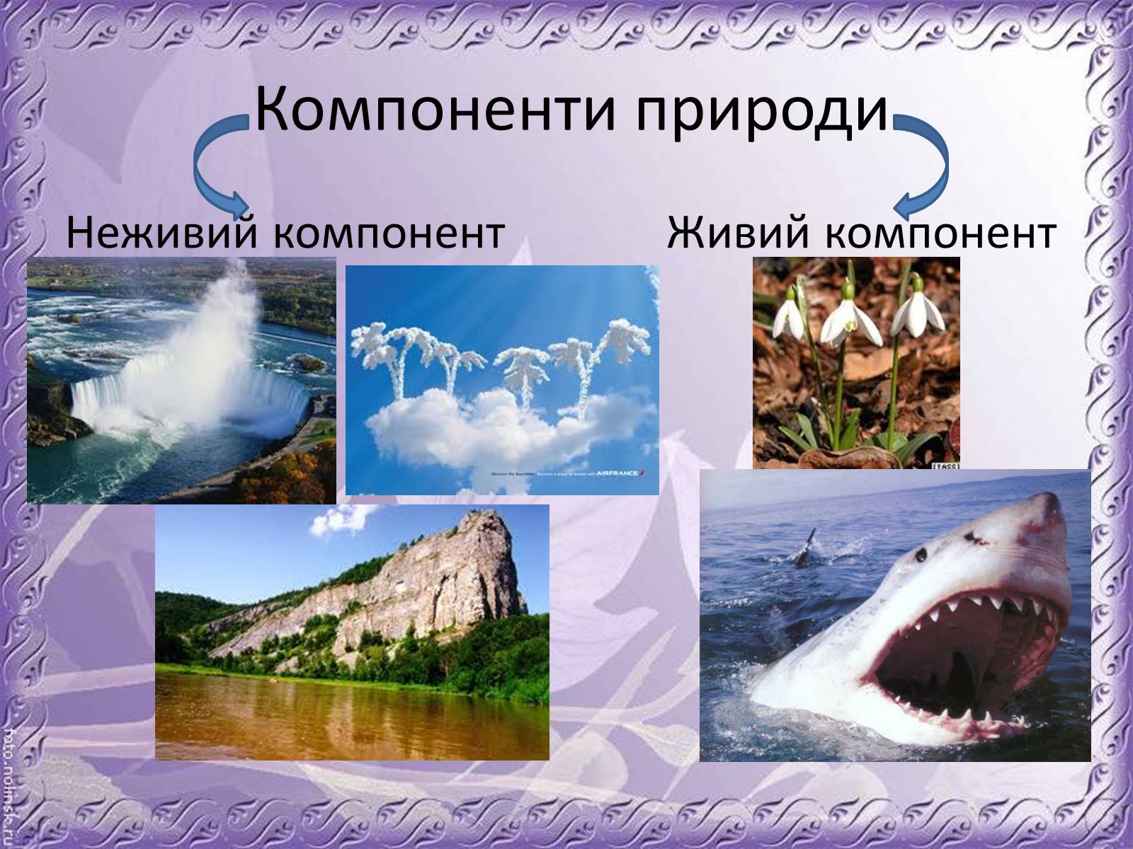 Презентація на тему «Основні антропогенні джерела забруднення навколишнього середовища» (варіант 1) - Слайд #5