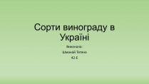 Презентація на тему «Сорти винограду в Україні»