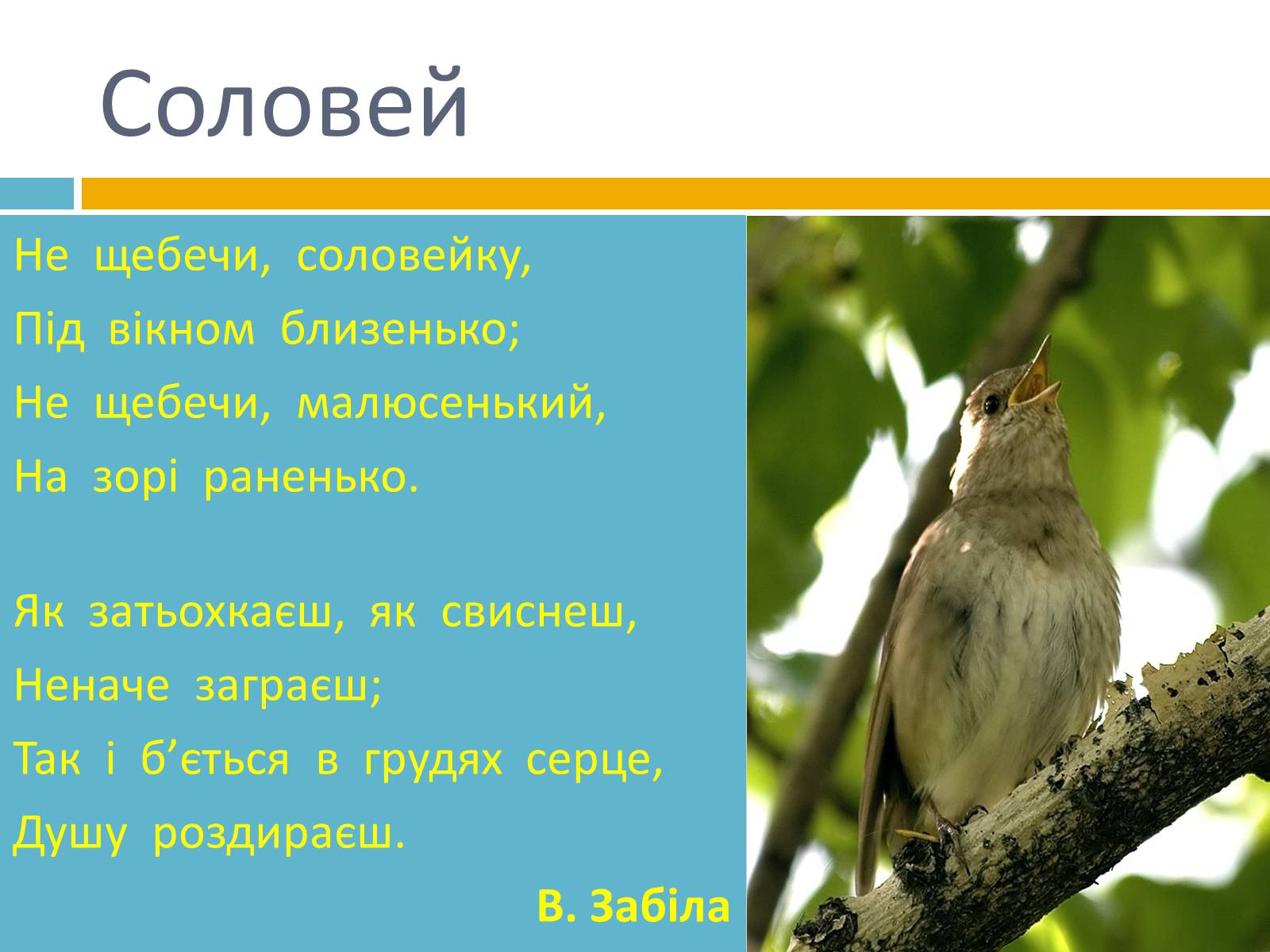 Презентація на тему «Українська символіка» - Слайд #17