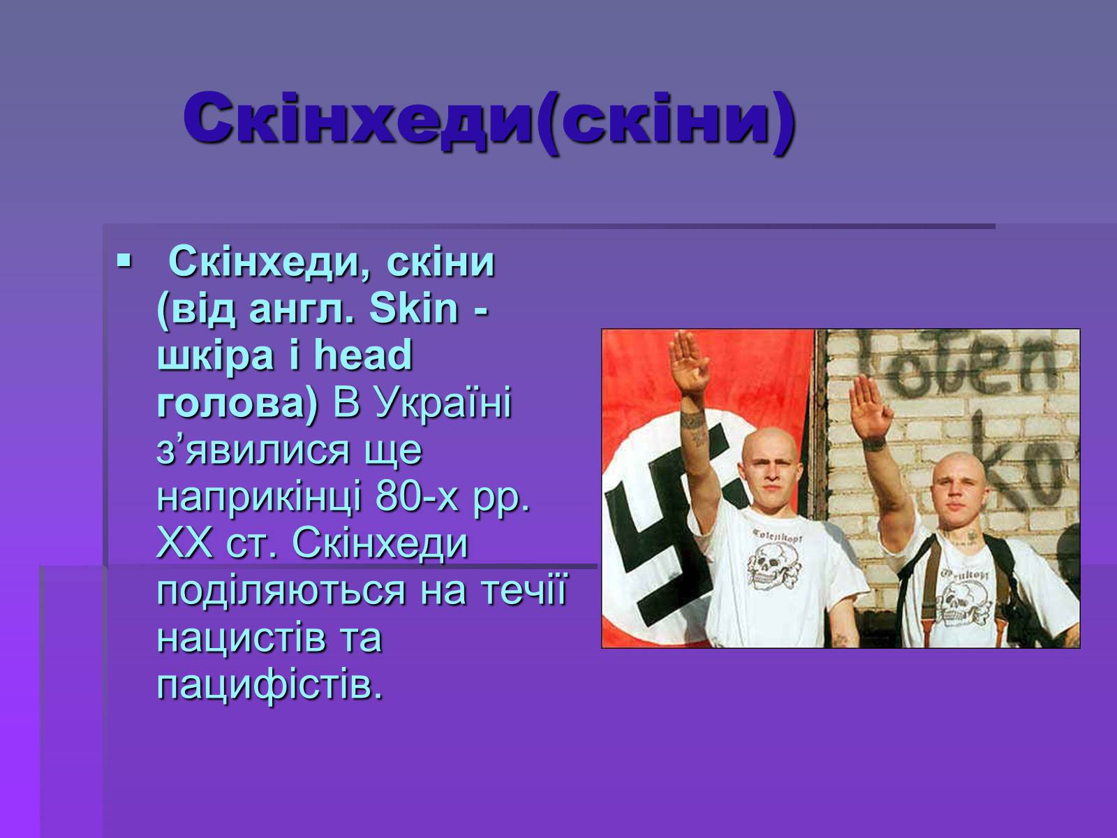 Презентація на тему «Молодіжні субкультури» (варіант 19) - Слайд #23