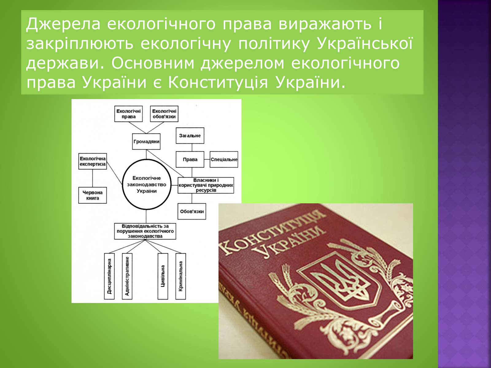 Презентація на тему «Екологічне право» - Слайд #3