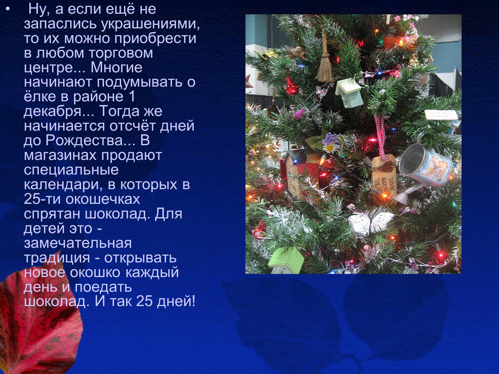 Презентація на тему «Рождество в Австралии» - Слайд #11