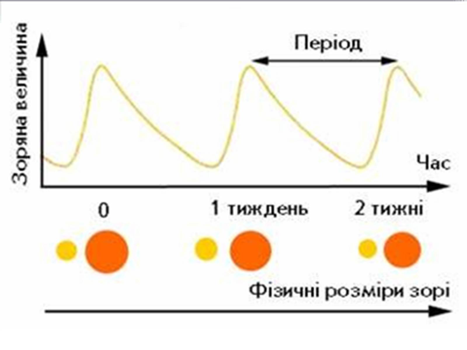 Презентація на тему «Еволюція зір. Змінні зорі» - Слайд #13