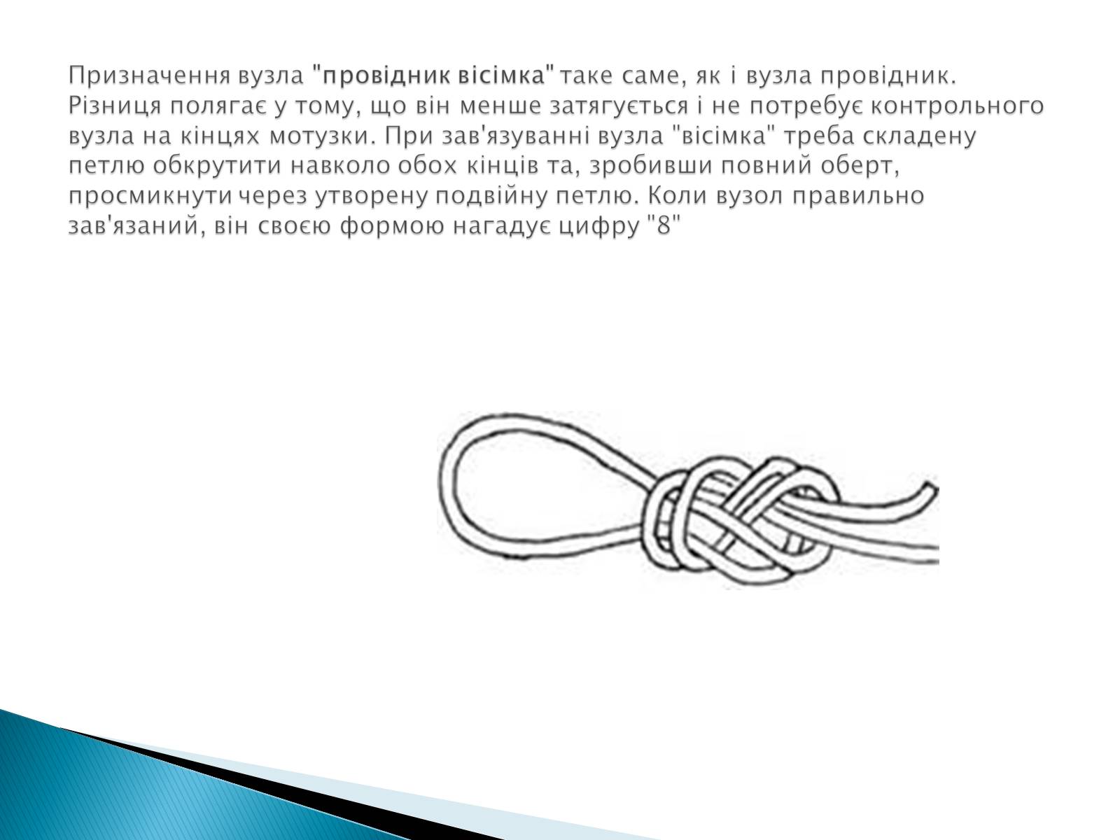 Презентація на тему «В&#8217;язання вузлів для спортивного туризму» - Слайд #12