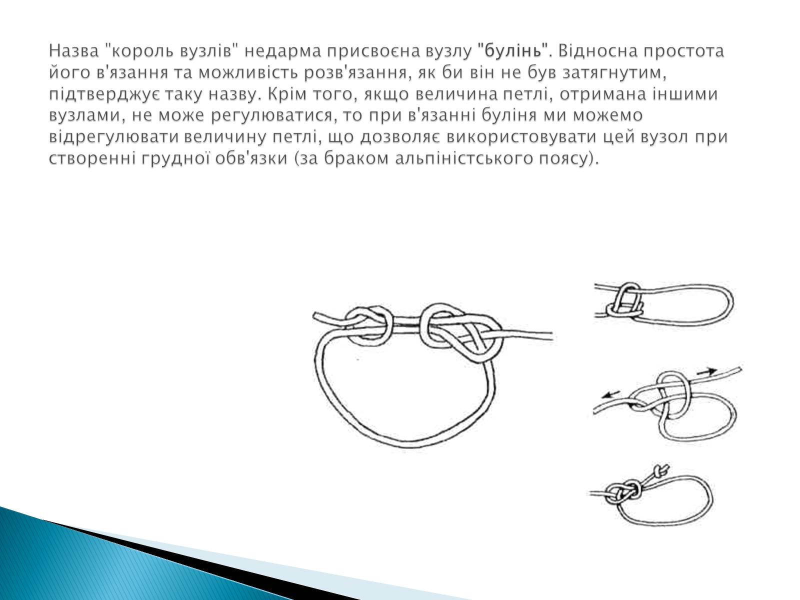 Презентація на тему «В&#8217;язання вузлів для спортивного туризму» - Слайд #14