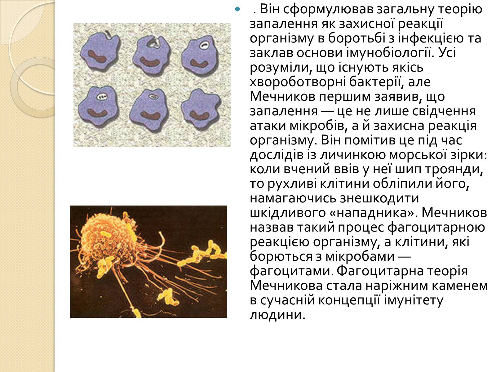 Презентація на тему «Ілля Мечников» - Слайд #6