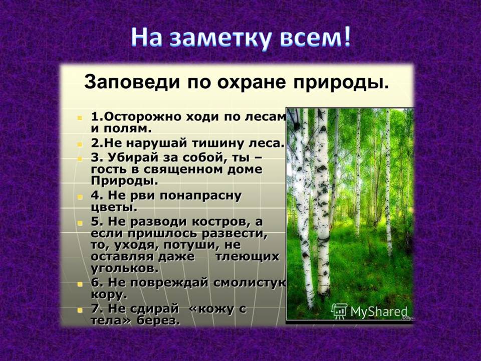 Презентація на тему «Проблема сбалансированного природопользования» - Слайд #12