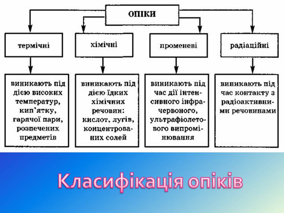 Презентація на тему «Опіки» (варіант 13) - Слайд #3