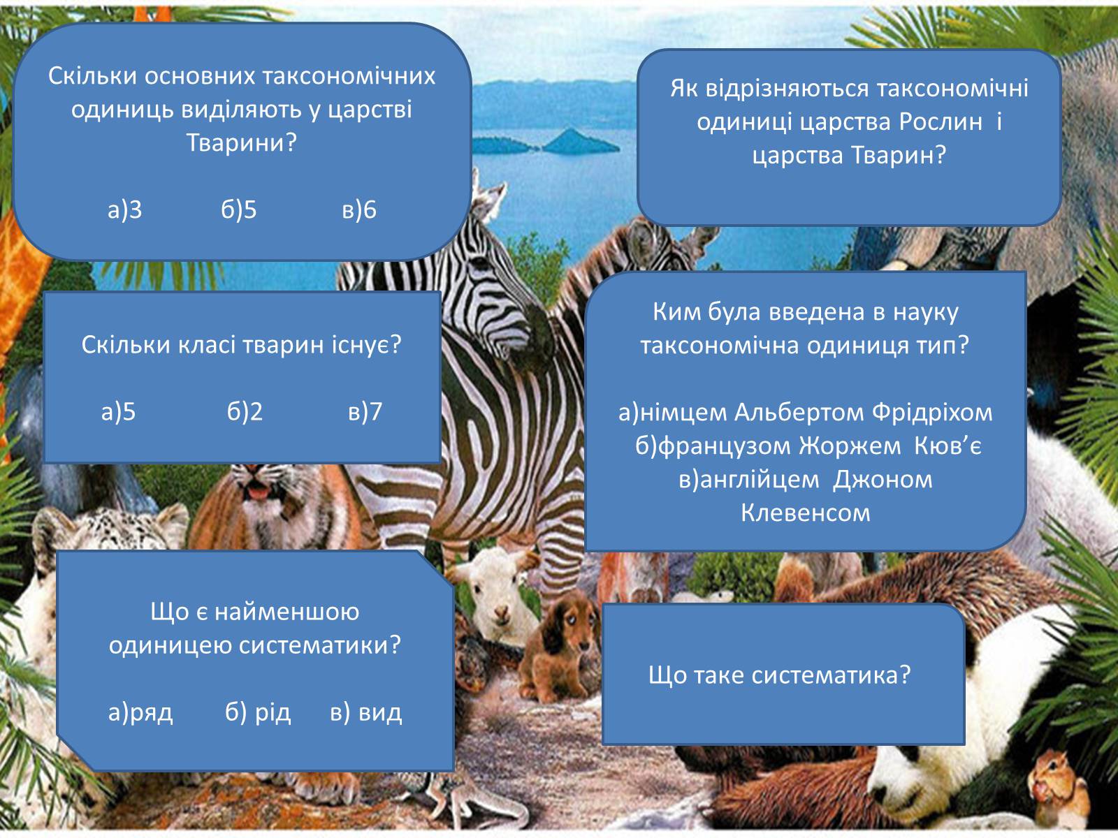 Презентація на тему «Про братів наших менших» - Слайд #2