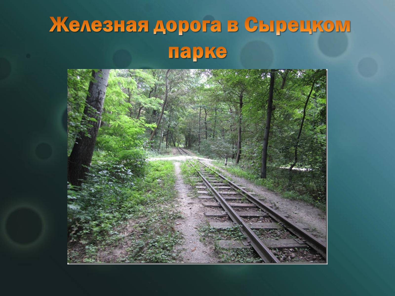 Презентація на тему «Жизнь в Киеве» - Слайд #81