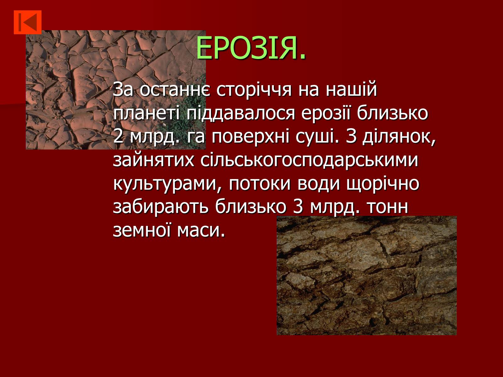 Презентація на тему «Екологія» (варіант 1) - Слайд #14