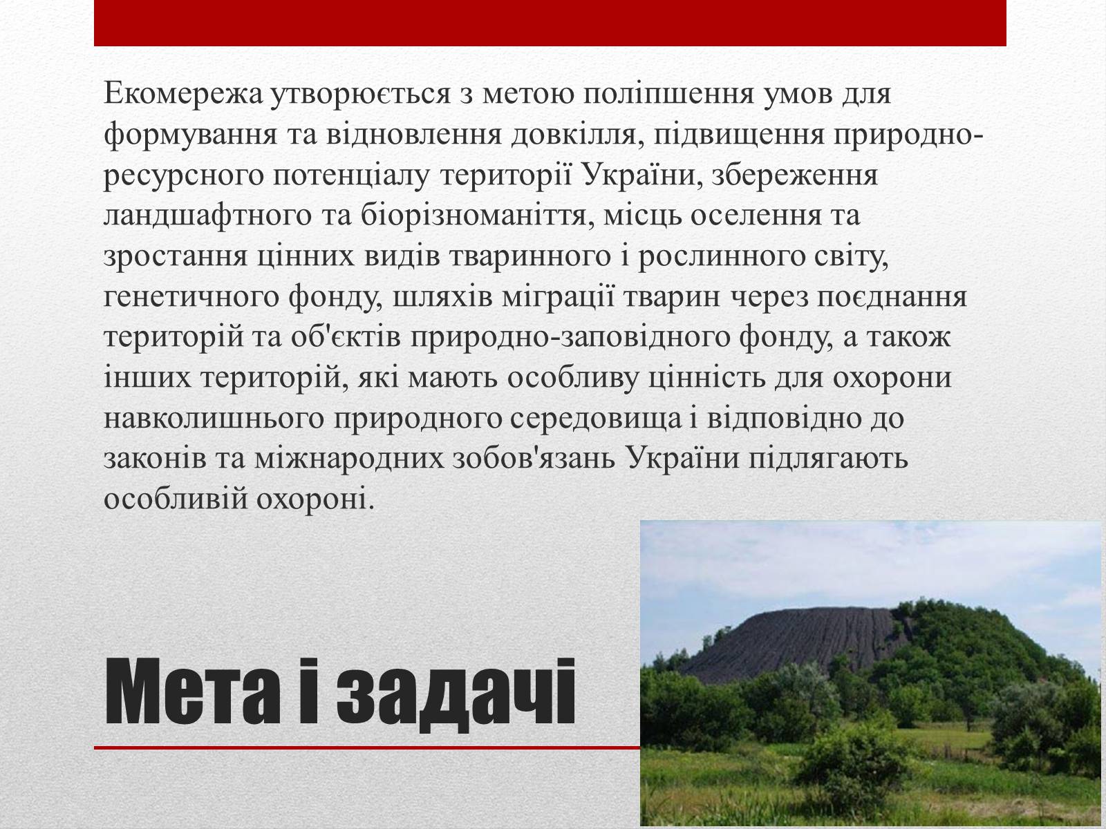 Презентація на тему «Основні структурні елементи екомережі» - Слайд #3