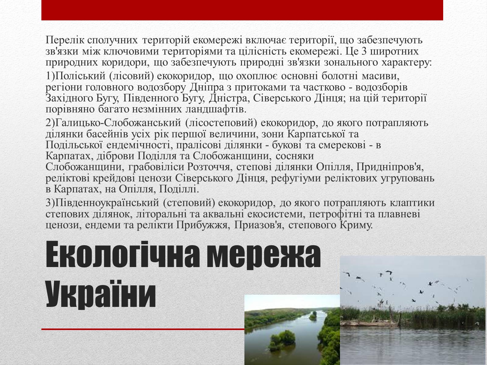 Презентація на тему «Основні структурні елементи екомережі» - Слайд #5