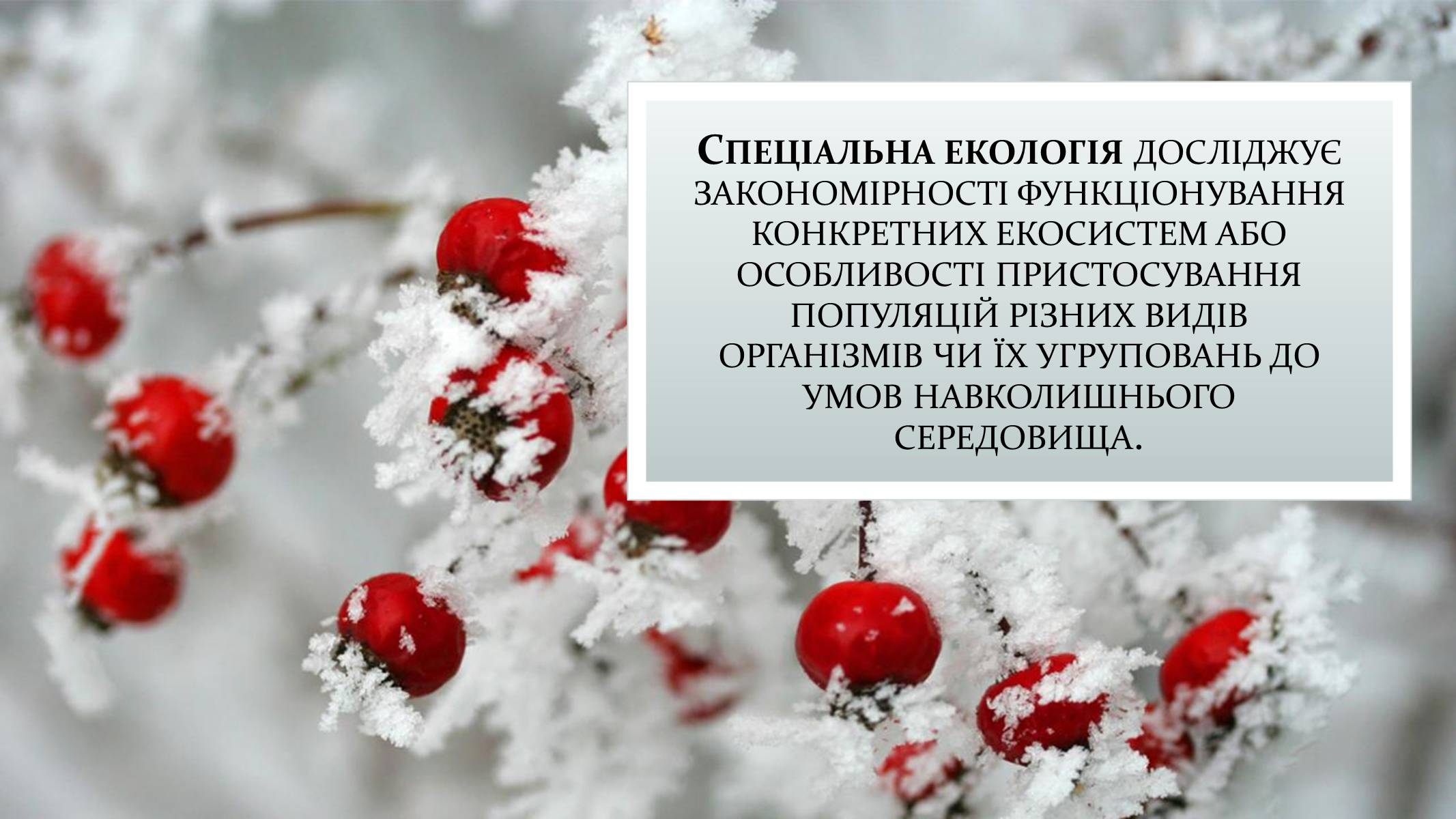 Презентація на тему «Екологія» (варіант 9) - Слайд #6