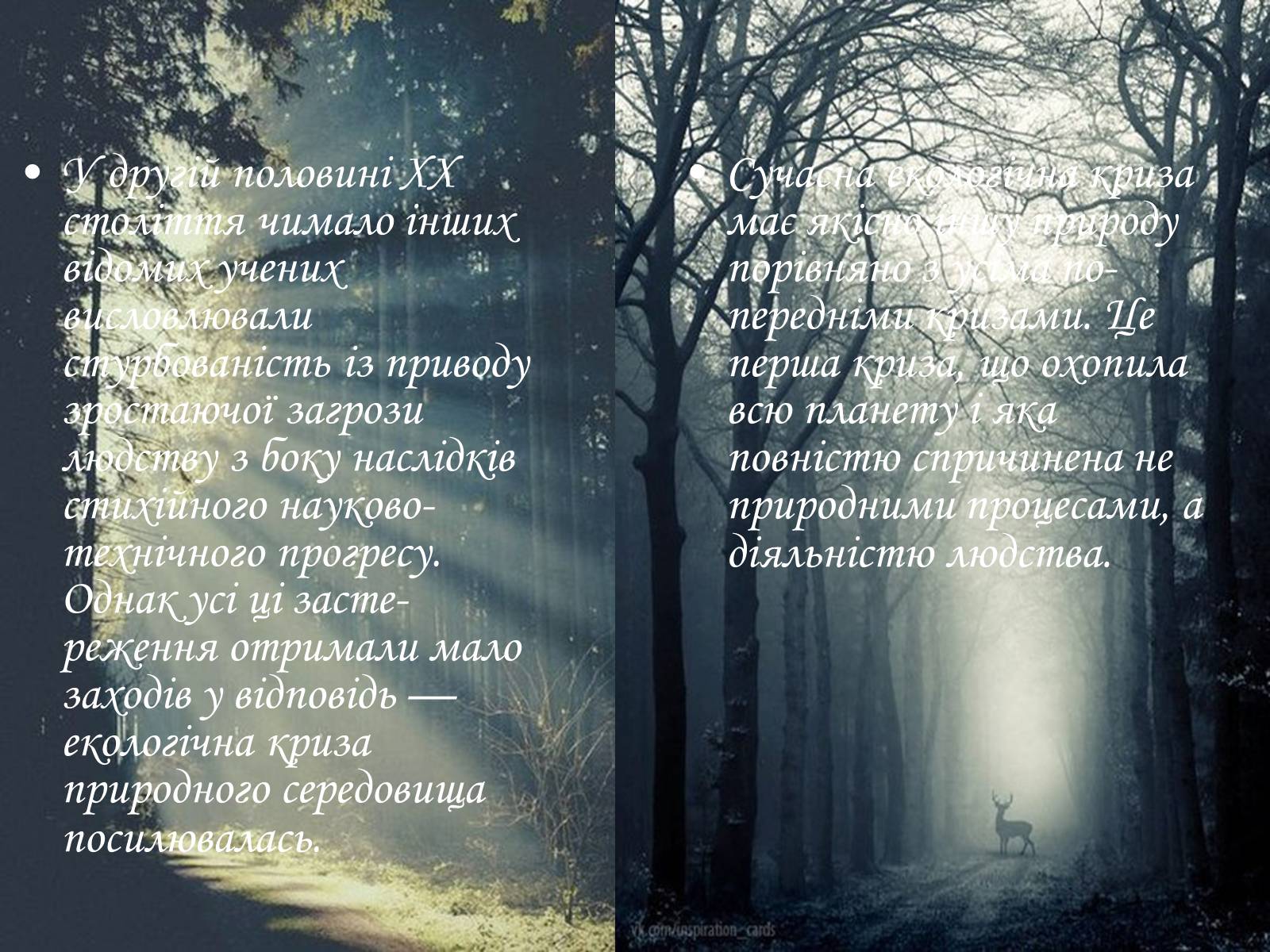 Презентація на тему «Деградація природи та екологічні проблеми» - Слайд #5