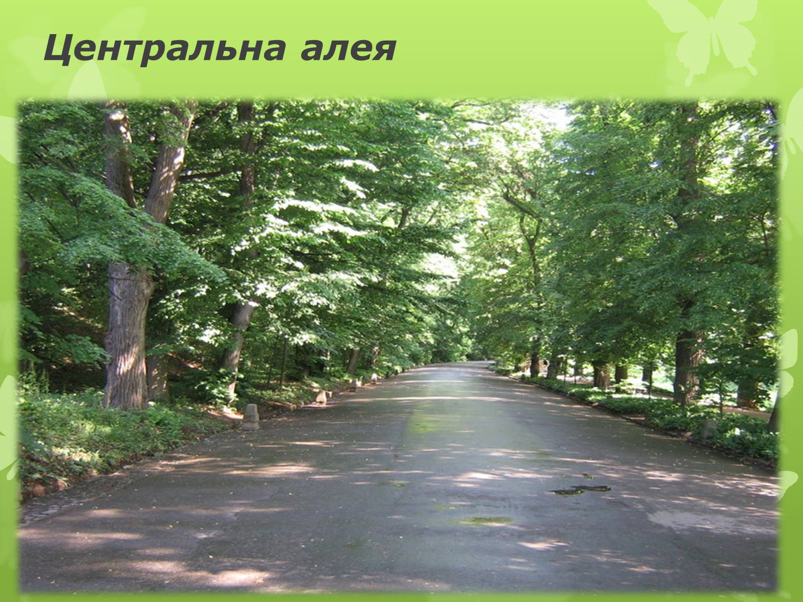 Презентація на тему «Золота підкова Черкащини» - Слайд #39 Презентація на тему «Золота підкова Черкащини» - Слайд #39