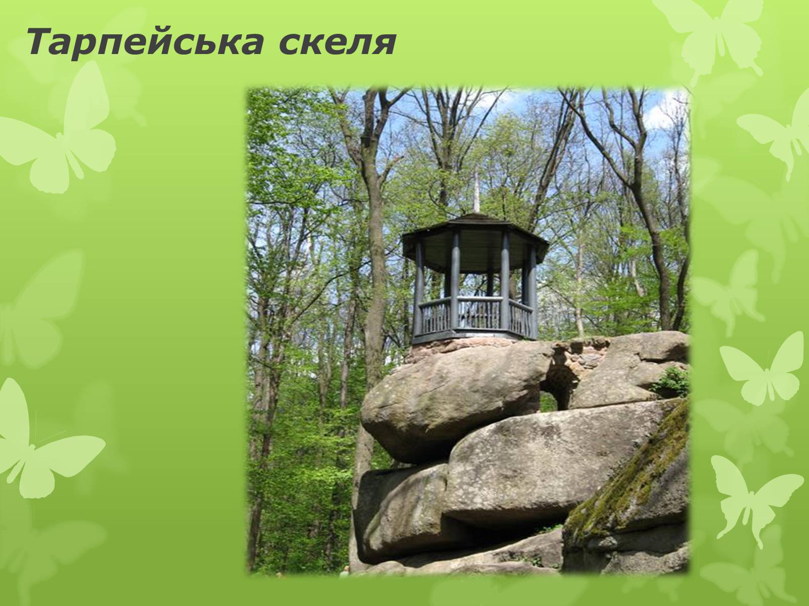 Презентація на тему «Золота підкова Черкащини» - Слайд #41 Презентація на тему «Золота підкова Черкащини» - Слайд #41
