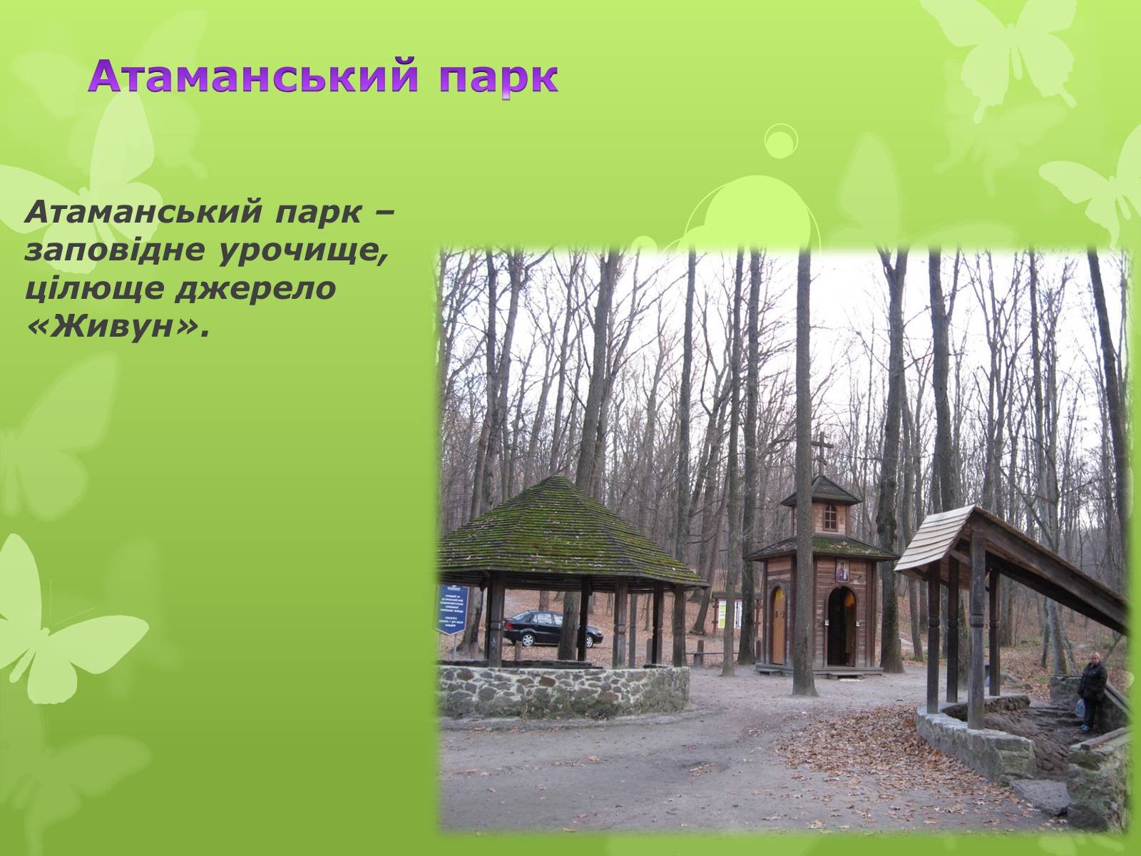 Презентація на тему «Золота підкова Черкащини» - Слайд #8 Презентація на тему «Золота підкова Черкащини» - Слайд #8