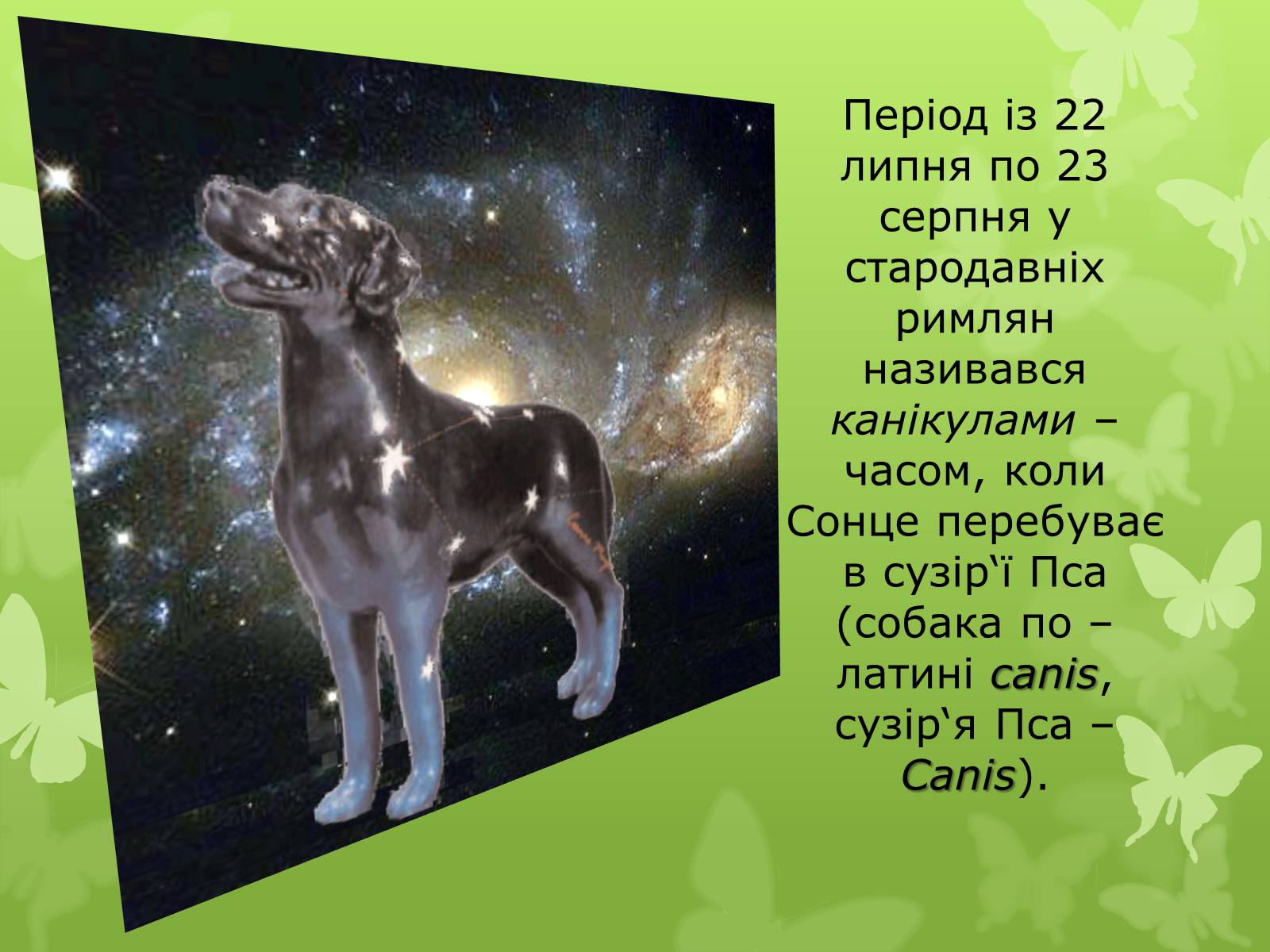 Презентація на тему «Слова з незвичайною біографією» - Слайд #14