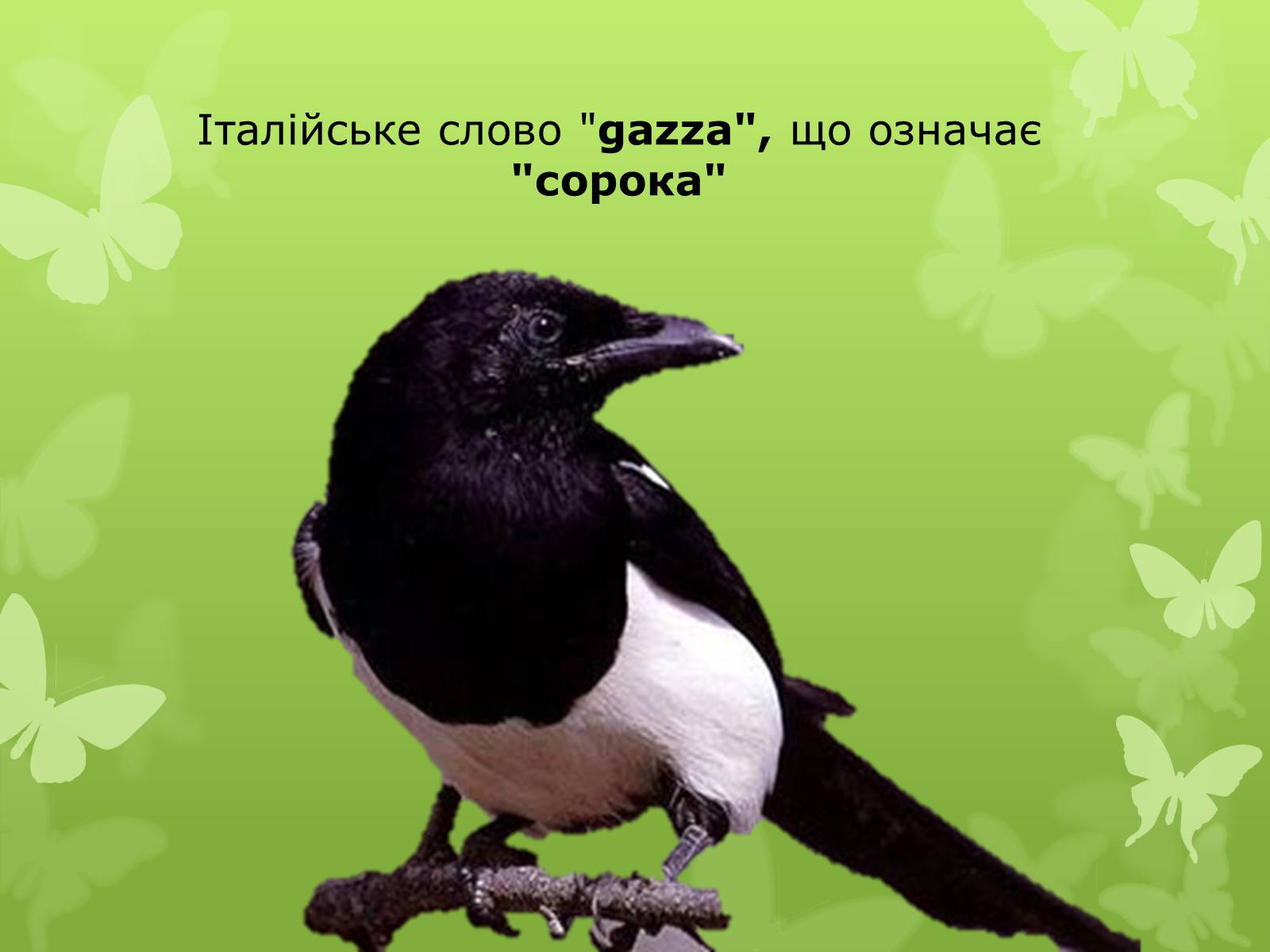 Презентація на тему «Слова з незвичайною біографією» - Слайд #8