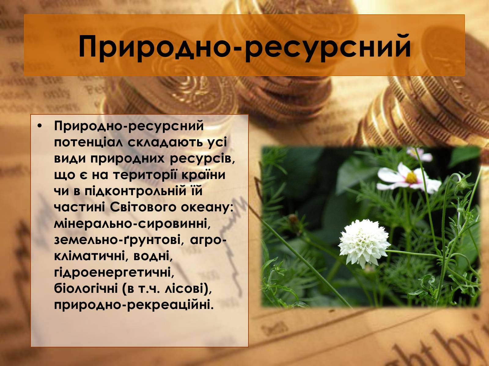 Презентація на тему «Економічний потенціал України» - Слайд #6