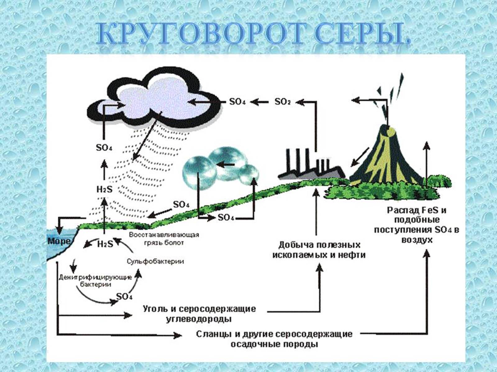 Презентація на тему «Проблема зміни ланок колообігу речовин та енергії» - Слайд #9