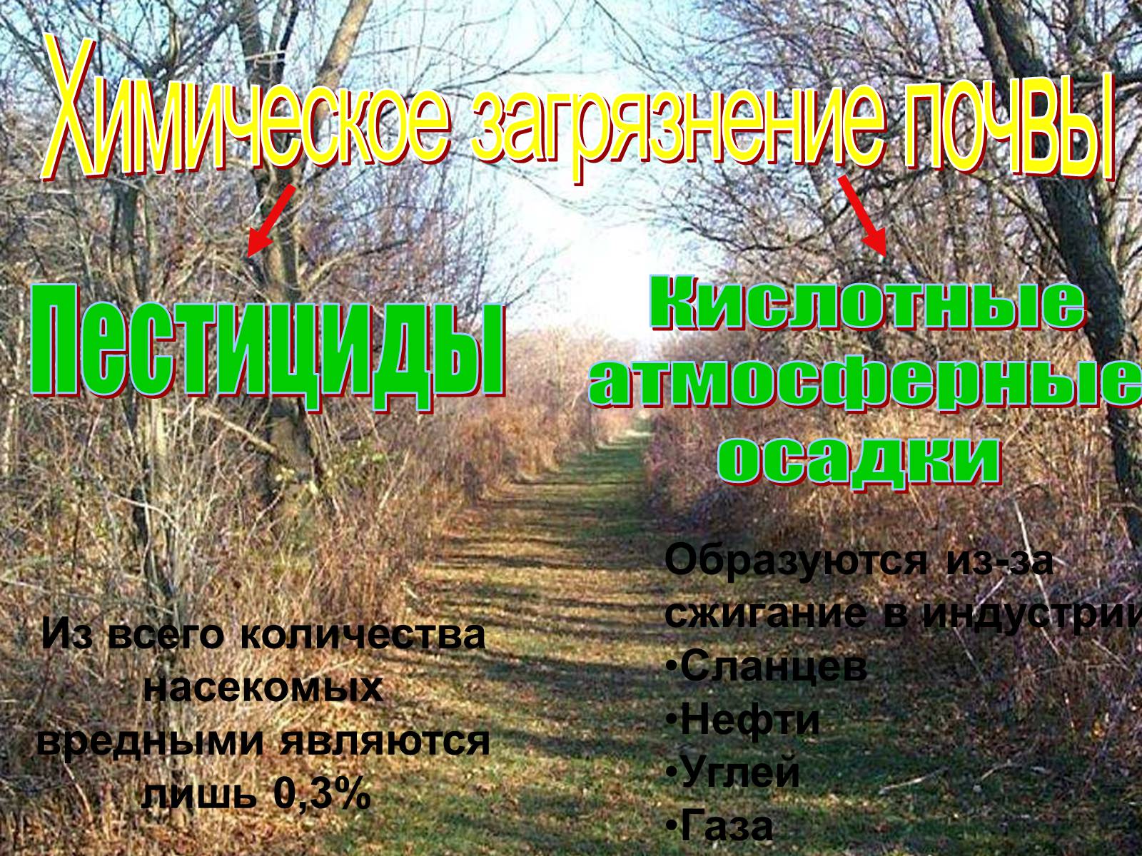 Презентація на тему «Причины и последствия деградации природных компонентов» - Слайд #16