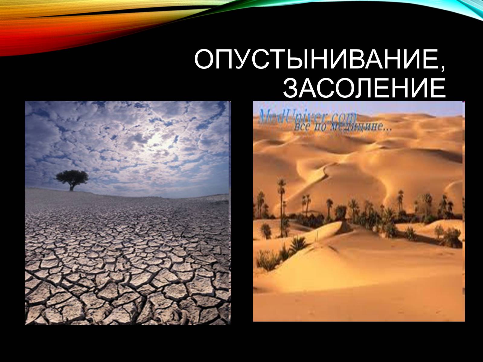 Презентація на тему «Причины и последствия деградации природных компонентов» - Слайд #19