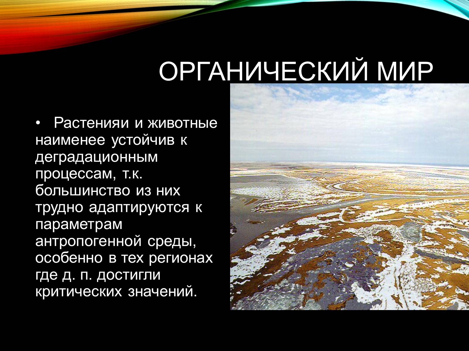 Презентація на тему «Причины и последствия деградации природных компонентов» - Слайд #21