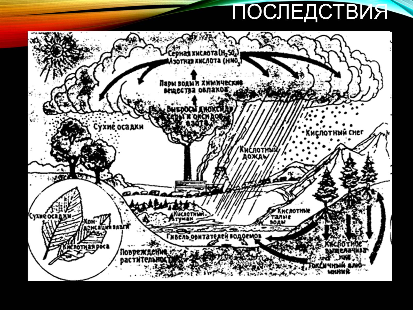 Презентація на тему «Причины и последствия деградации природных компонентов» - Слайд #5