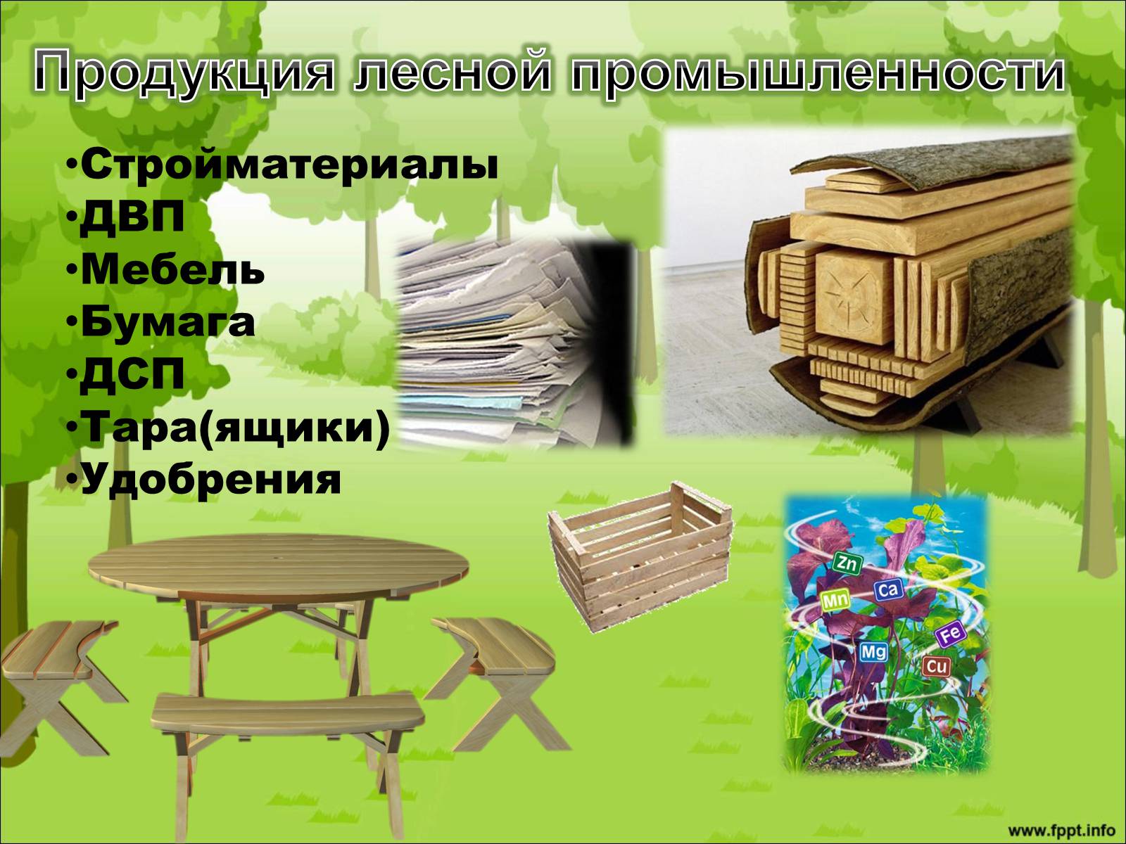 Продукция лесной промышленности. Продукция Лесной промышленности в России. Выпускаемая продукция Лесной промышленности. Предприятия Лесной промышленности продукция.