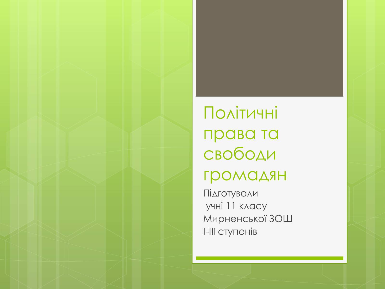 Презентація на тему «Політичні права та свободи громадян» - Слайд #1