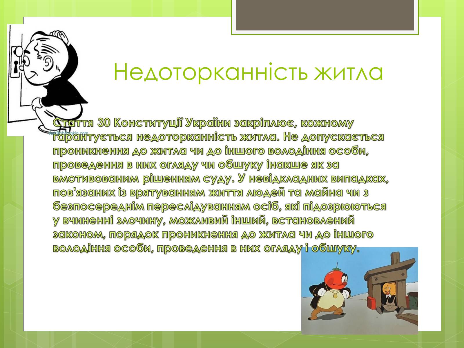 Презентація на тему «Політичні права та свободи громадян» - Слайд #8