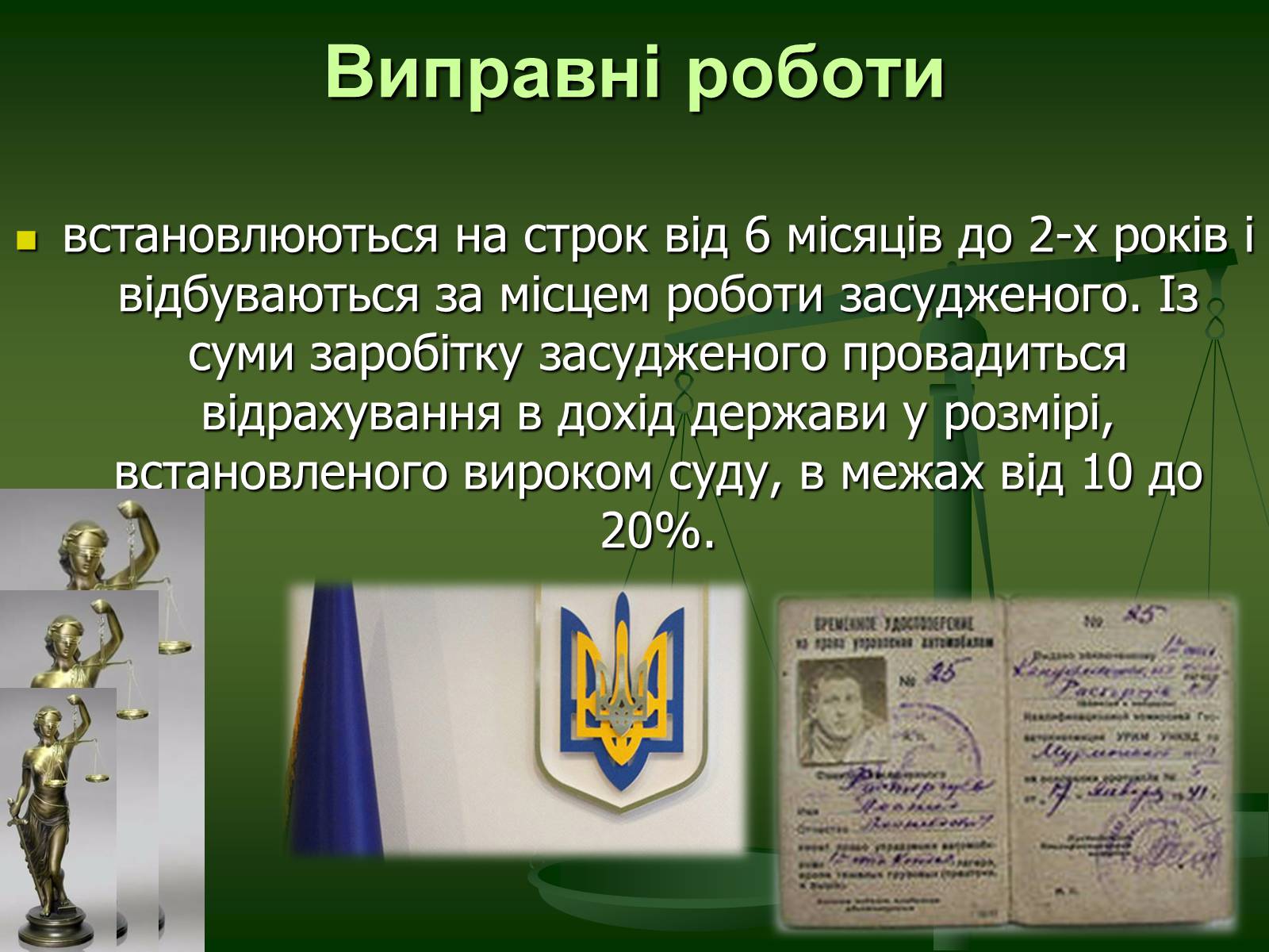 Презентація на тему «Основи кримінального права» (варіант 2) - Слайд #21