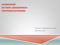 Презентація на тему «Декоративно-ужиткове мистецтво» (варіант 1)