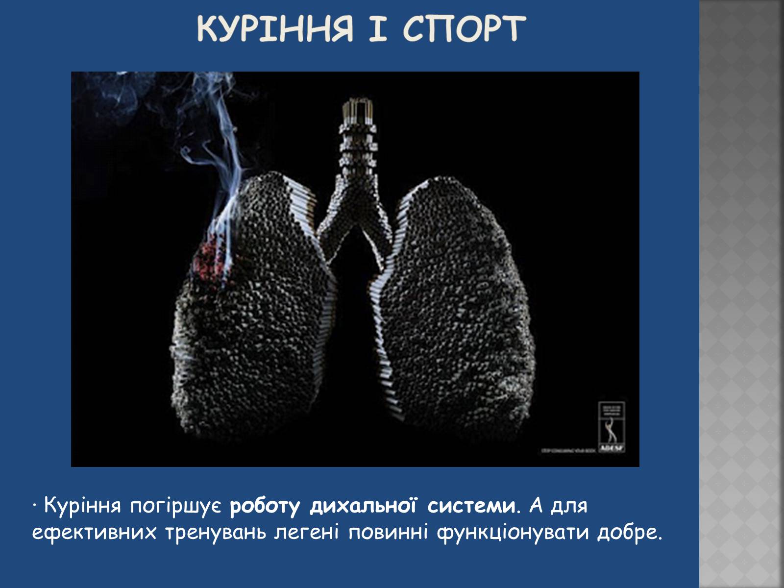 Презентація на тему «Негативний вплив шкідливих звичок на досягнення у спорті» - Слайд #13