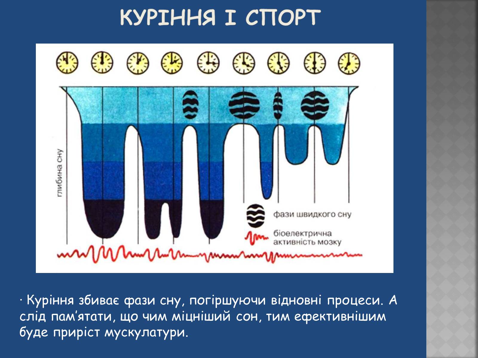 Презентація на тему «Негативний вплив шкідливих звичок на досягнення у спорті» - Слайд #14